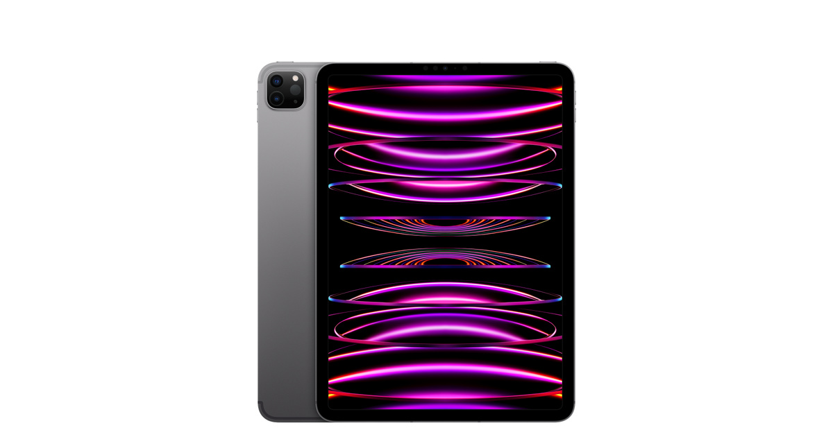 11インチiPad Pro Wi-Fi + Cellular 256GB - スペースグレイ（第4世代